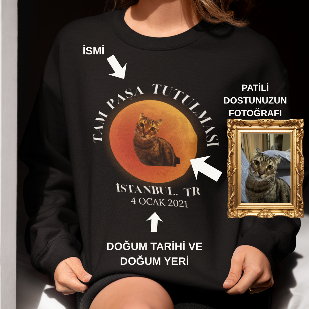 Evcil Hayvan Tutulması Kadın Sweatshirt