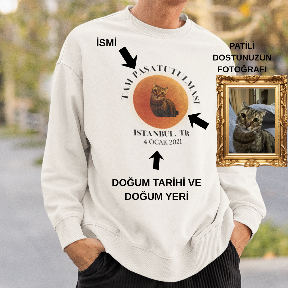 Evcil Hayvan Tutulması Erkek Sweatshirt