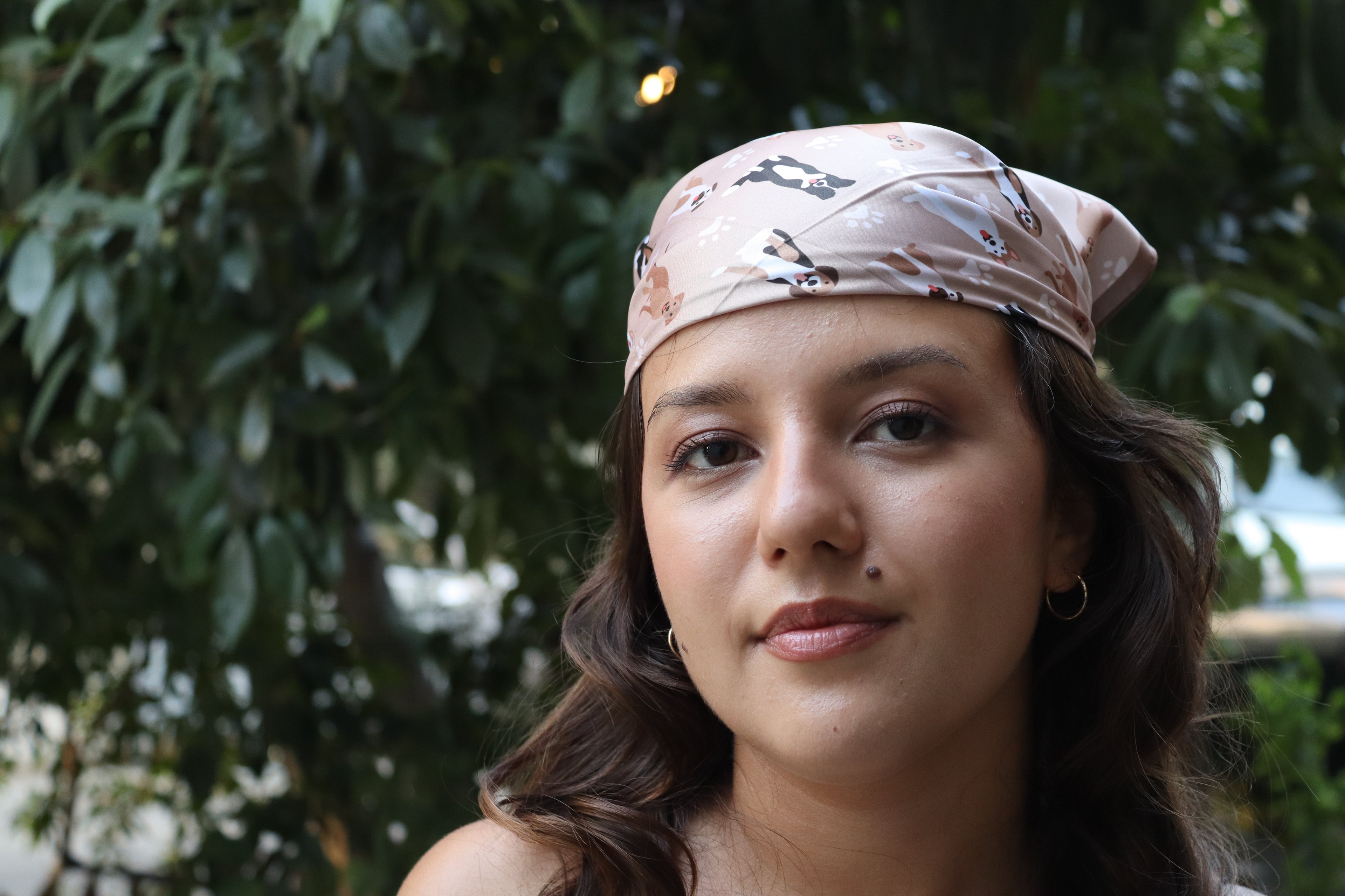 Köpek Ailesi Bandana