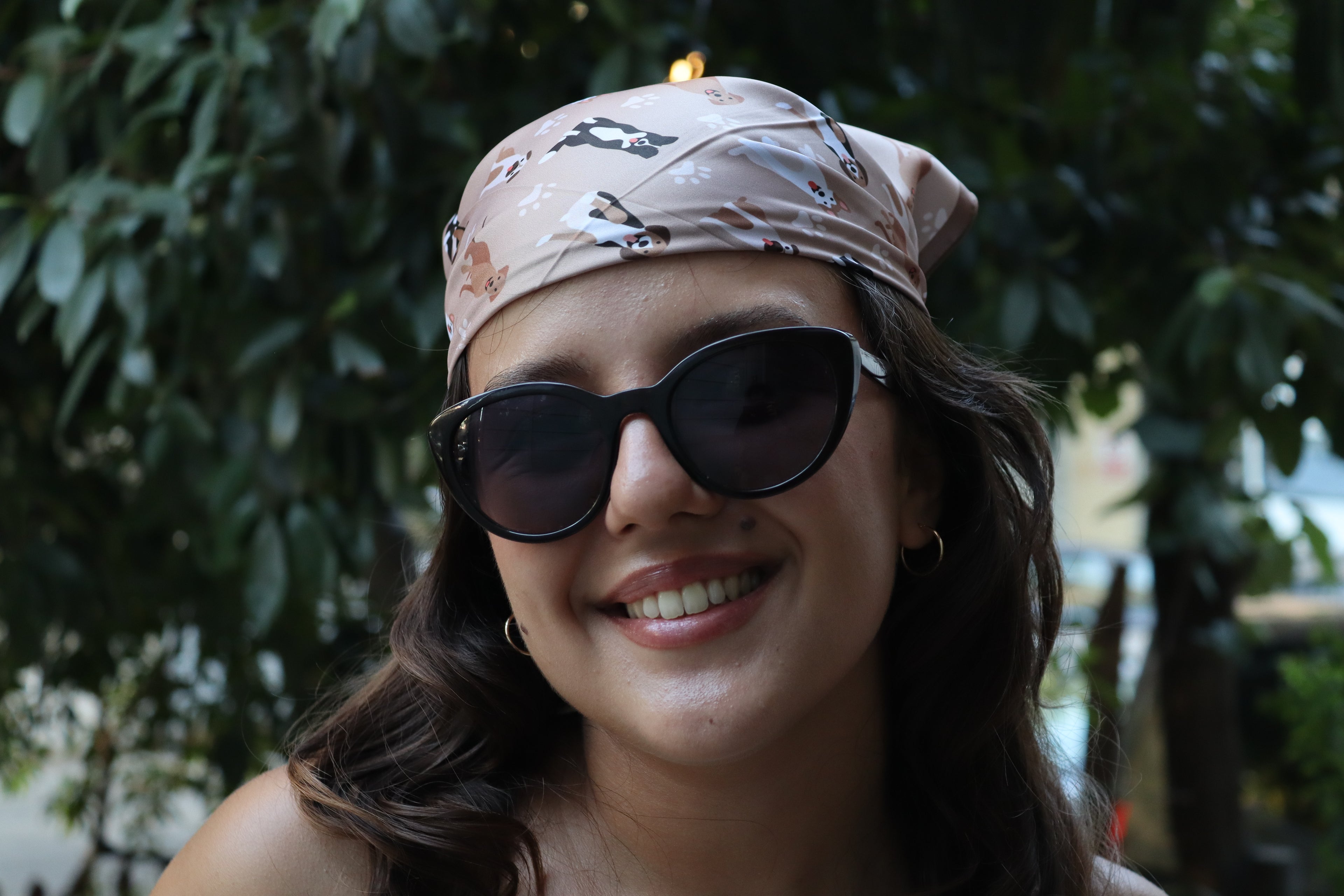 Köpek Ailesi Bandana