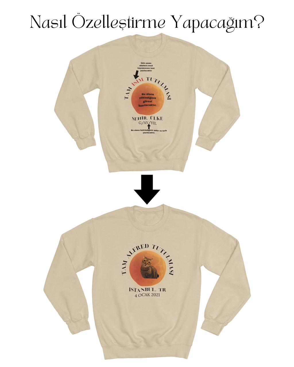 Evcil Hayvan Tutulması Sweatshirt
