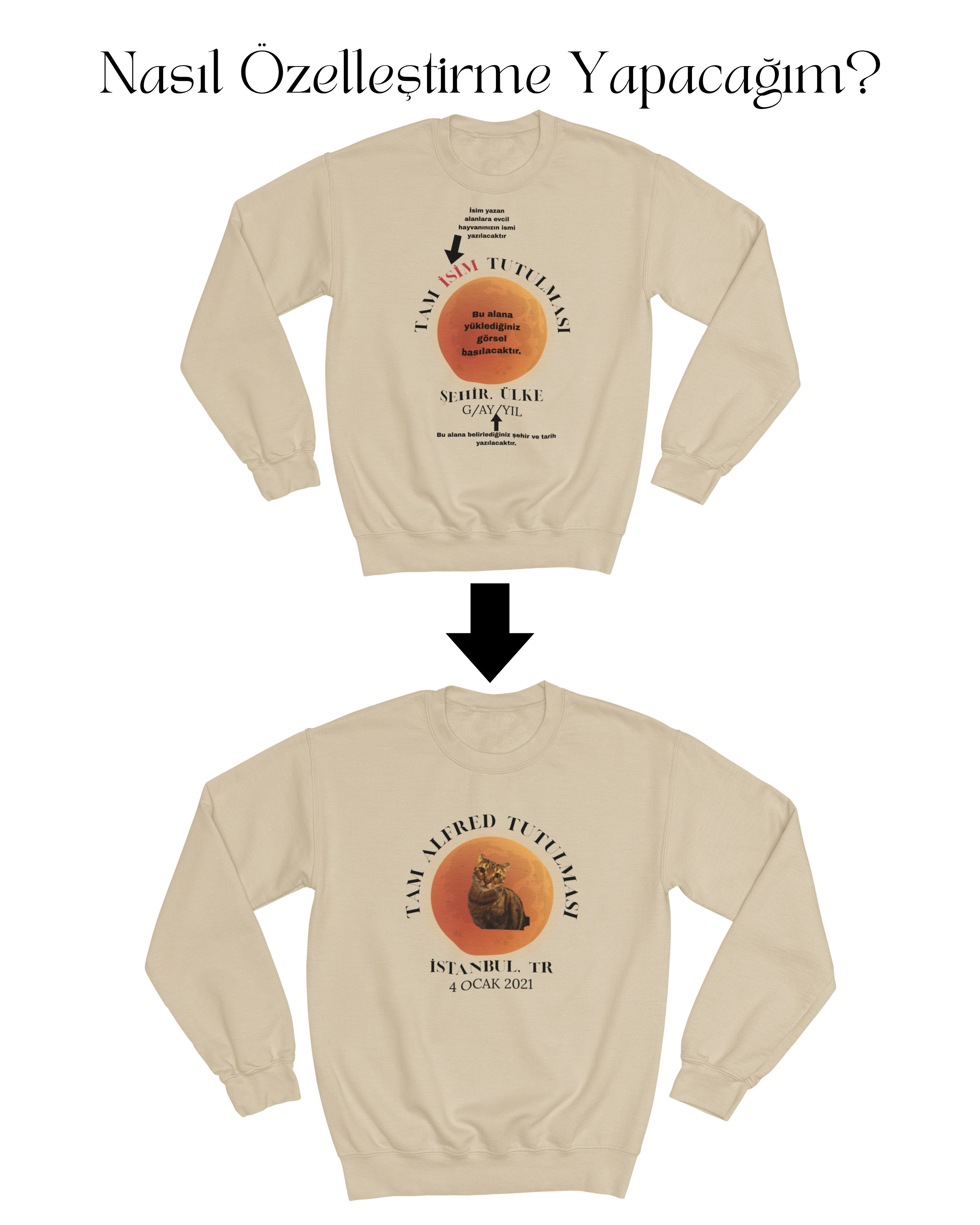 Evcil Hayvan Tutulması Sweatshirt