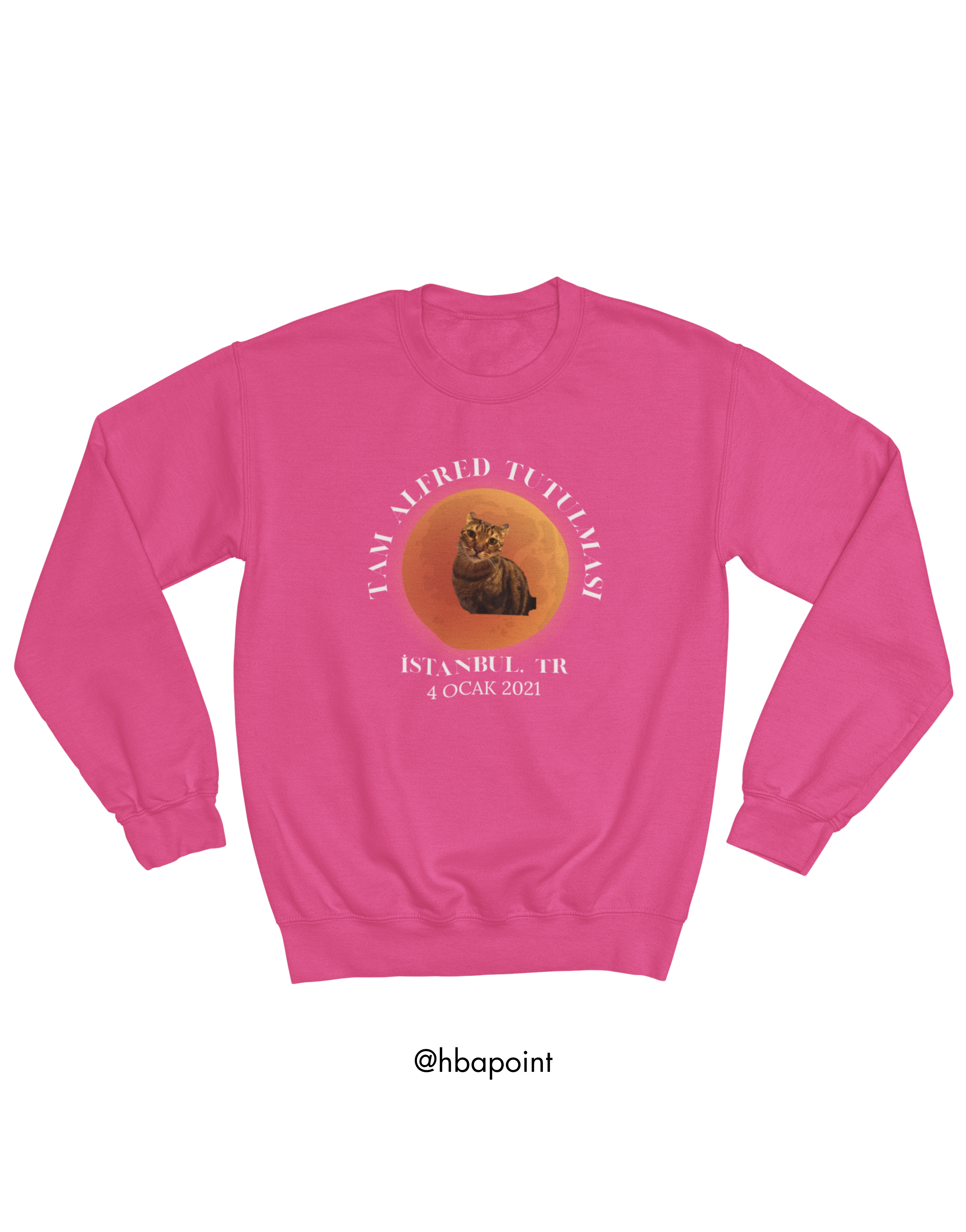 Evcil Hayvan Tutulması Sweatshirt