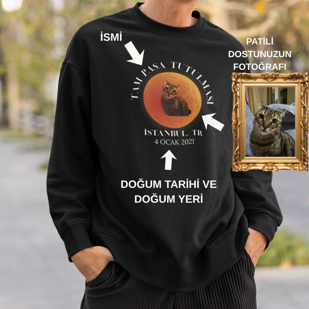 Evcil Hayvan Tutulması Erkek Sweatshirt